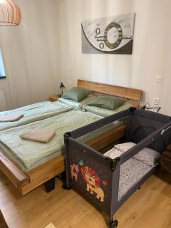 Apartmány v Javorné na Šumavě - Čachrov - 6