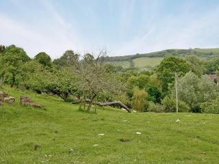 Blackberie Cottage - E2389 - Stoke Abbott - 1