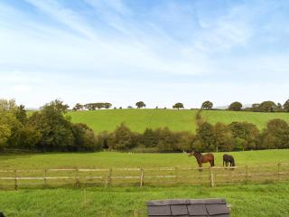 Mount Cottage - Wennington - 9
