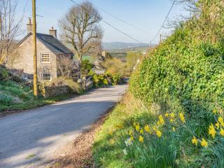Mid Terrace - Llandefalle - 1
