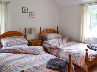 Sunny Beck - High Nibthwaite - 5