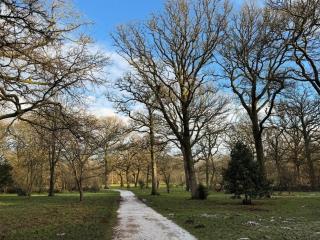 Drovers Cottage - Tetbury - 7
