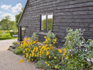 Mount House Barn - Burwash - 2