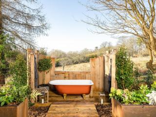 The Cosy Cabin - Clapton in Gordano - 9