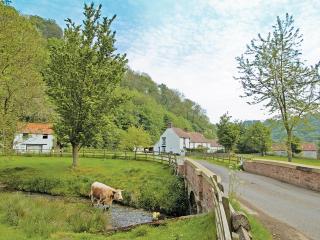 Ashberry Cottage - Rievaulx - 4