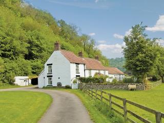 Ashberry Cottage - Rievaulx - 1