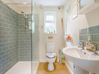 Beekeepers Cabin - Reepham - 7