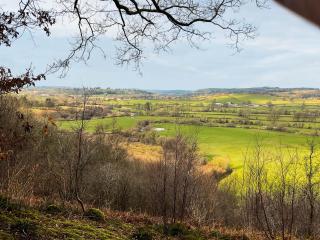 Y Smithy - Uk49022 - Llanybydder - 9