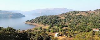 2bhk Cottage stay at Arogyam Yogashram Organic Farm at Mulshi Backwaters - Mulshi - 7