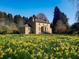 2 Bed in Beauly 78962 - Beauly - 9
