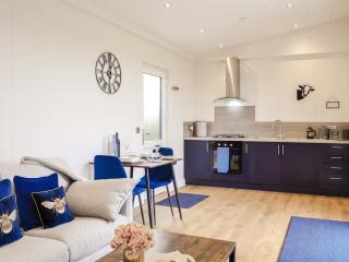 Lime Tree Lodge - Castle Douglas - 3