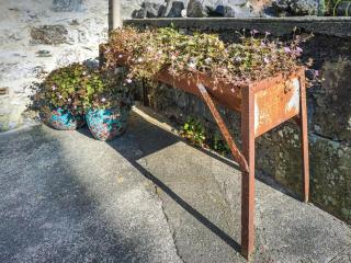 Enroot Cottage - Ingleton - 7