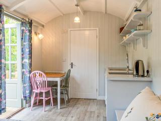Fig Tree Shepherds Hut - Cottage - Bridport - 7