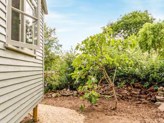 Fig Tree Shepherds Hut - Cottage - Bridport - 4