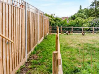 Fig Tree Shepherds Hut - Cottage - Bridport - 1