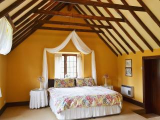 Mill Cottage - Mathon - 4