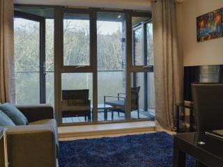 Riverview Apartment - Backbarrow - 8