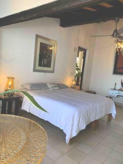 Rustic BR Downtown PV-Unique Vallarta Experience - Puerto Vallarta - 9