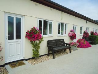 Rose Cottage - Winterborne Steepleton - 8