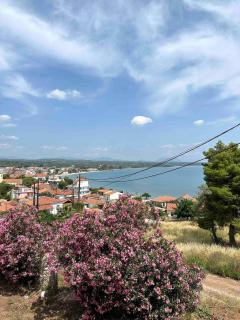 Messenian Style House with Great Views - Petalidi - 5