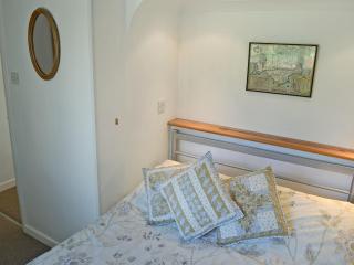 Moles Leap - Brading - 4