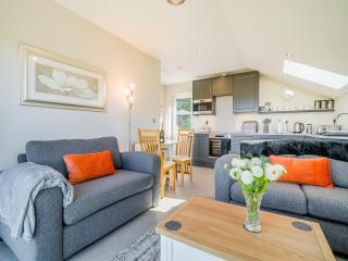 Wye Nest - Fownhope - 9