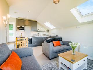 Wye Nest - Fownhope - 7