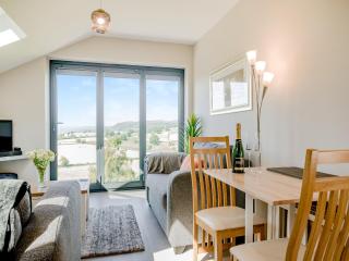 Wye Nest - Fownhope - 6