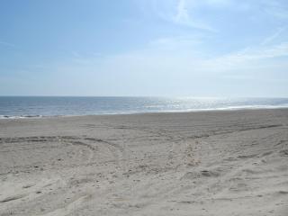 Horseshoe - Saltfleetby Saint Clement - 2