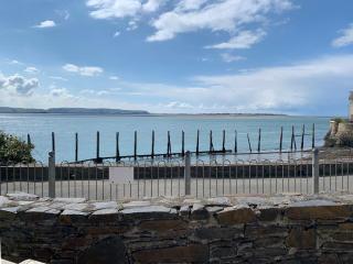 Driftwood - Aberdyfi - 2