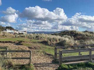Driftwood - Aberdyfi - 1