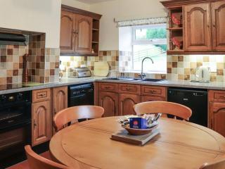 Plas Madog - Llanuwchllyn - 2