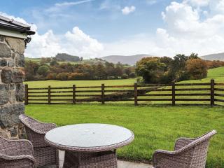 Plas Madog - Llanuwchllyn - 9