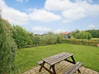 Oregano - E4483 - Ludham - 2