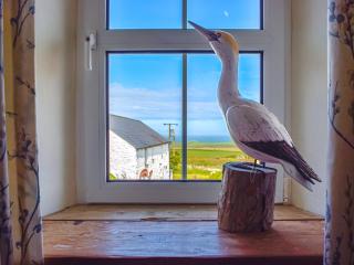 Puffin Cottage - Abereiddy - 6