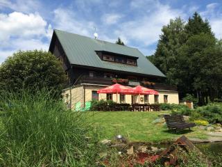 Penzion SATELIT - Deštné v Orlických horách - 9