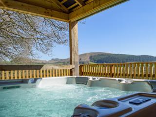 Red Kite Lodge - Uk32610 - Old Radnor - 9