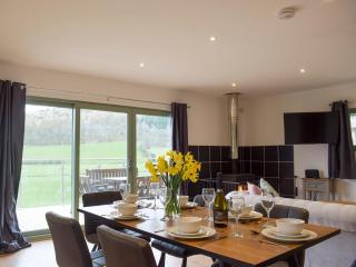 Red Kite Lodge - Uk32610 - Old Radnor - 4