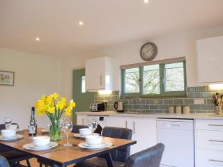Red Kite Lodge - Uk32610 - Old Radnor - 3