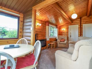 Y Bwthyn Pren, Cabin 209, - Trawsfynydd - 4