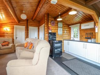 Y Bwthyn Pren, Cabin 209, - Trawsfynydd - 3