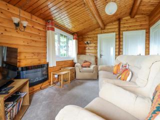 Y Bwthyn Pren, Cabin 209, - Trawsfynydd - 6