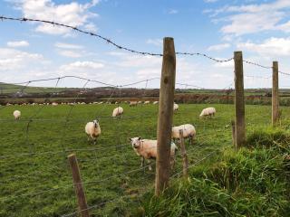 The Crog Loft - Uk45652 - Rhiw - 9