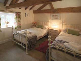 Chestnut Cottage - E5625 - Wainfleet All Saints - 4