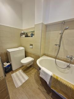 Old Riga apartment next to St Peters church - 8