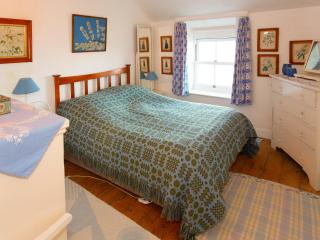Blue - Uk43119 - Trefor - 5