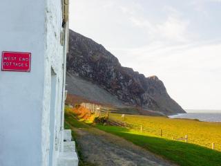 Blue - Uk43119 - Trefor - 9