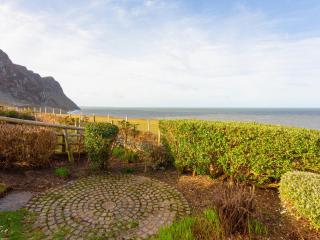 Blue - Uk43119 - Trefor - 2
