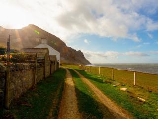 Blue - Uk43119 - Trefor - 6