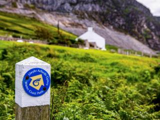 Blue - Uk43119 - Trefor - 4